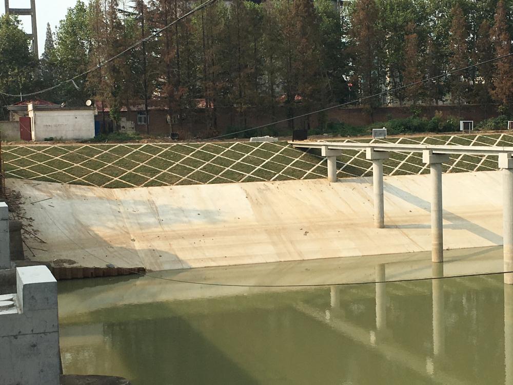 1542100596381089.jpg 1542100596381089.jpg